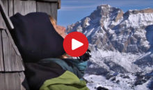 Alle Videos