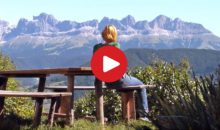 Alle Videos
