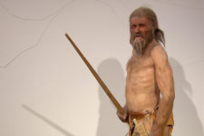 Südtiroler Archäologiemuseum mit Ötzi