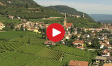 Alle Videos
