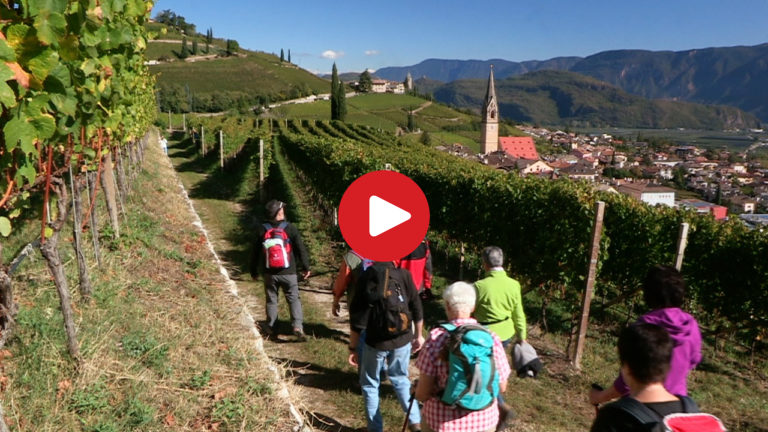Wine-Walk Week in Termeno