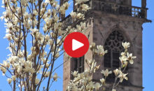 Bolzano - storia e cultura