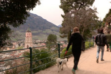 The Tappeiner Path in Merano in spring