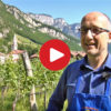 Ein Jahr im Weinberg