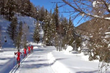 Winter sports in South Tyrol