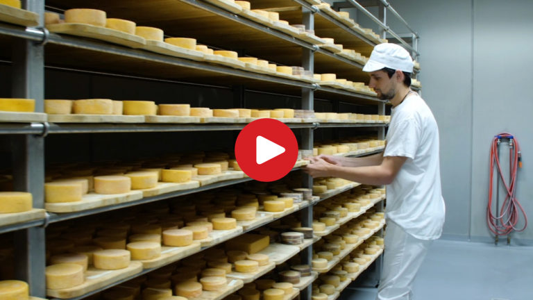 I formaggi della Valle Aurina
