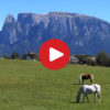 L’altipiano del Renon