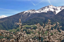 Spring in Venosta Valley