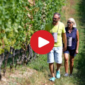 WineWays: Cantina Cortaccia