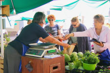 Farmer&#8217;s market in Bolzano