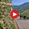 Mit dem E-Bike durch die Südtiroler Apfelblüte