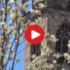 Bolzano’s history and culture