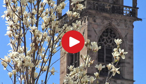 Bolzano's history and culture