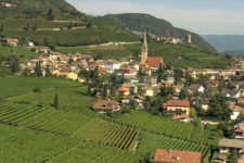 Termeno on the Wine Road