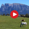Ritten