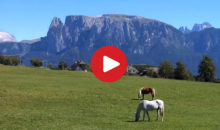 Ritten