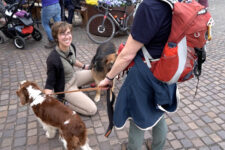 In Vacanza col Cane: Arrivati!