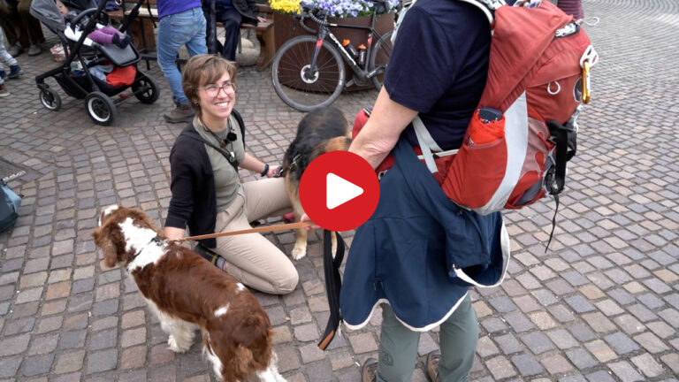 In Vacanza col Cane: Arrivati!