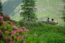 Panoramic Path in Pfelders