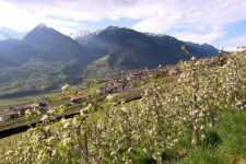 Frühling in Südtirol
