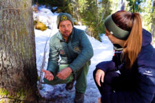 Der Wald im Winterschlaf