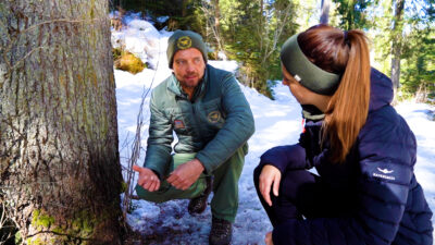 Der Wald im Winterschlaf