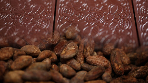 „Bean-to-Bar“ Chocolate 
