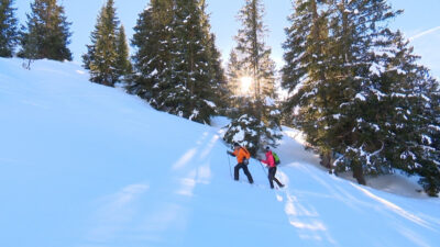 Snowshoe hiking: Alpe di Siusi