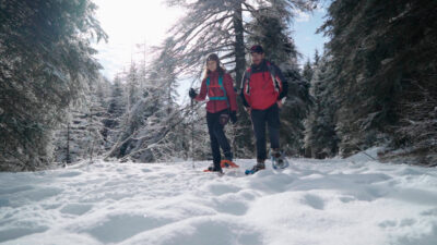 Winter hike to Malga Fane