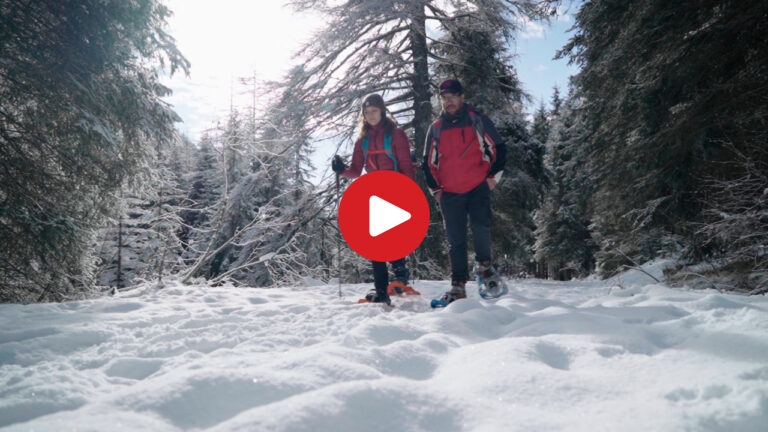 Winter hike to Malga Fane