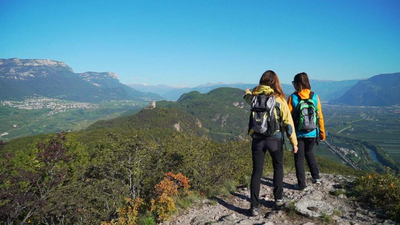 La Cura Dei Denti Del Cavallo | Pet Family - Foto 6