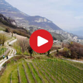 Escursione Primaverile a Magrè