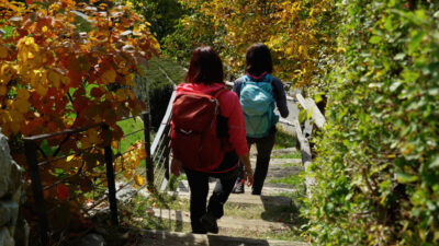 Wandertipp: Weinbergweg Brixen