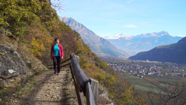 The Monte Sole Panoramic Trail
