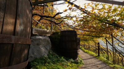 Lagundo in autumn