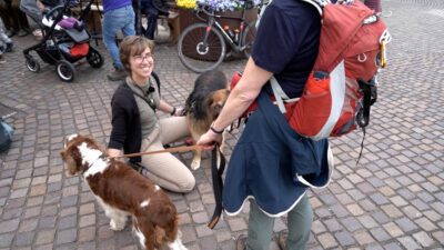 On Holiday with Dogs: We’re here!