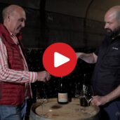 Wine Ways: Arunda Sparkling Wine Cellar