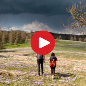 Krokusblüte am Möltner Joch
