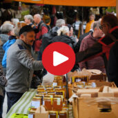 The Historical Market of Stegona