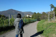 Hiking tip: San Giacomo - Flavon Castle