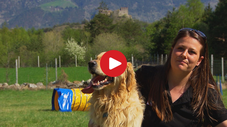Dog-friendly holidays in South Tyrol