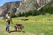 Wandertipp: Langental in Gröden