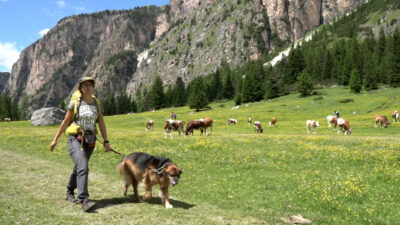 Wandertipp: Langental in Gröden