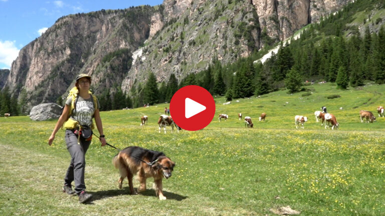 Wandertipp: Langental in Gröden