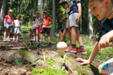Forest is a natural playground
