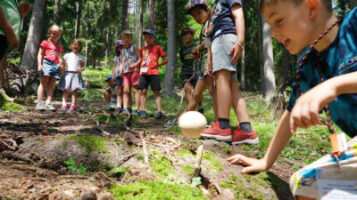 Forest is a natural Playground