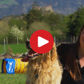 Mit Hund auf Südtirol-Urlaub