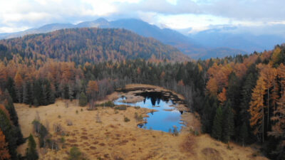 The forests around Anterivo