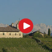 Strada del Vino dell&#8217;Alto Adige