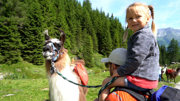 Lamawanderung durchs Hinterpasseier